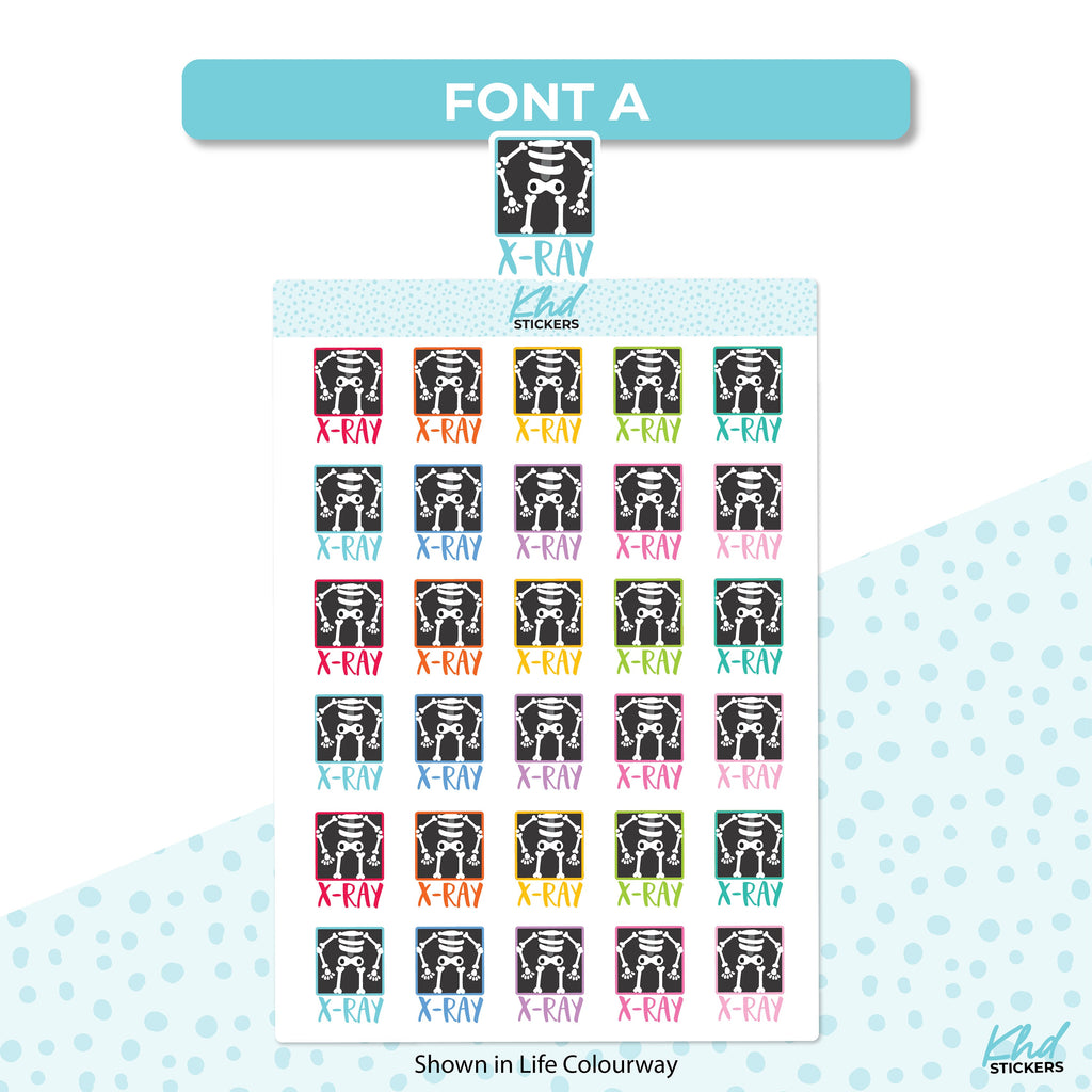 X-Ray Stickers, Planner Stickers, Removable